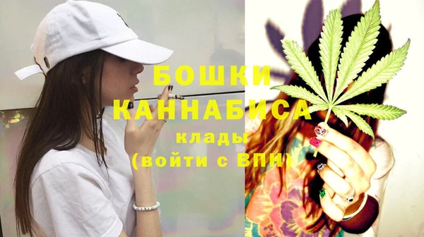 МДПВ Володарск