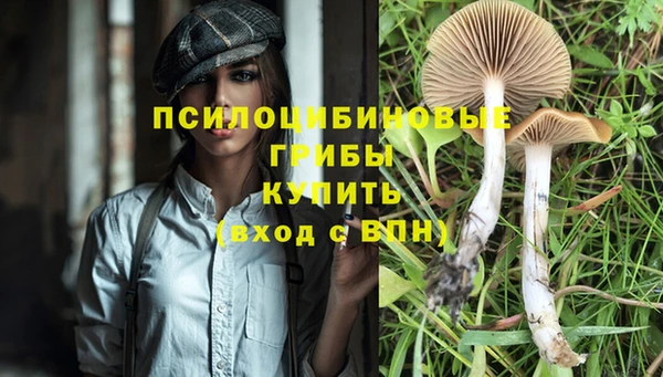a pvp Верея