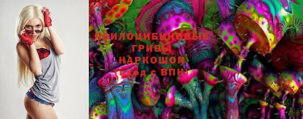 МДПВ Володарск