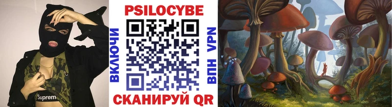 Галлюциногенные грибы Psilocybe  нарко площадка как зайти  Мончегорск 